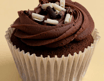 Double Chocolate Cupcake